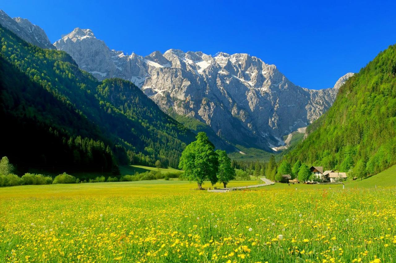 Hotel Planinka Ljubno Екстериор снимка